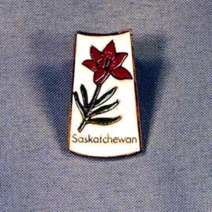 SASKATCHEWAN CDN. PROVINCE LAPEL PIN FLOWER FULL COLOUR ENAMELLED METAL